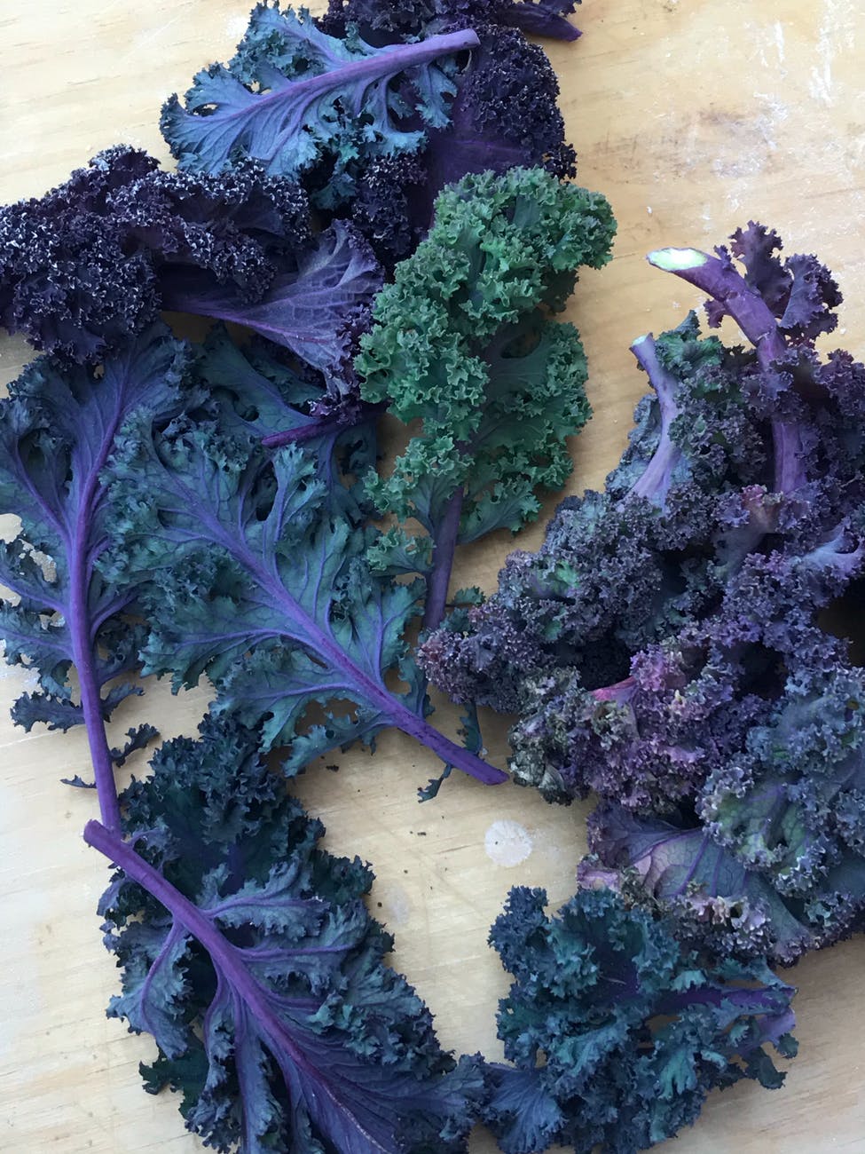 purple and green leafy vegetable