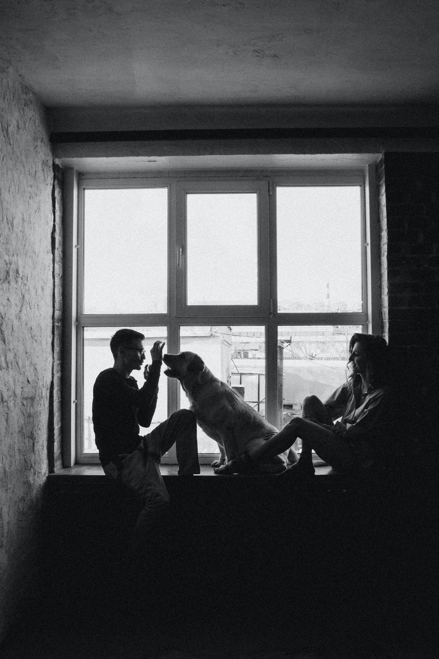 grayscale of man woman and dog on window